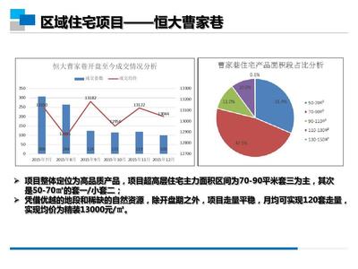 2016年1月成都市中心红星路地块市场调研报告（定稿）